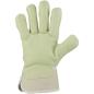 Preview: Schweinsnarbenleder-Handschuh "Adler 5"