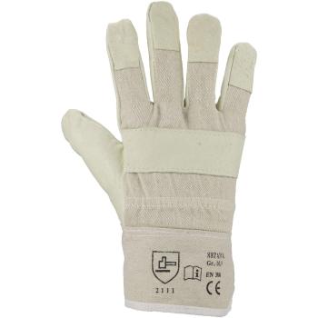 Schweinsnarbenleder-Handschuh "88PAWA"