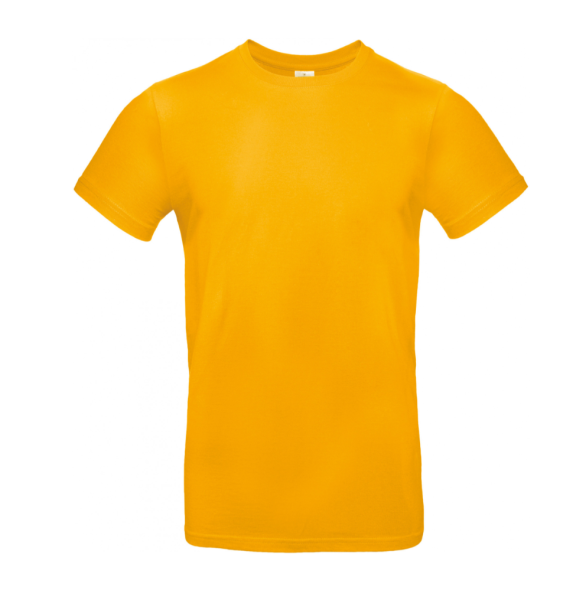 T-Shirt "E190"